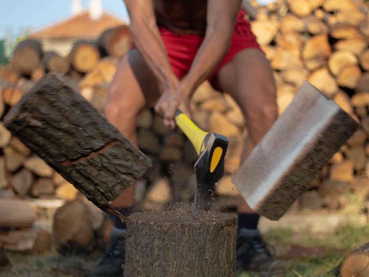 Tree Branch Trimming in Lomira, WI